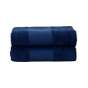 French Navy